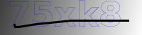 captcha verification