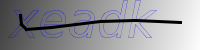 captcha verification