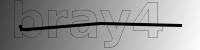 captcha verification