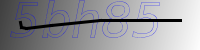 captcha verification