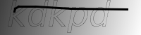 captcha verification