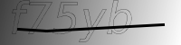 captcha verification