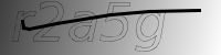 captcha verification