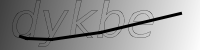captcha verification